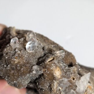 Herkimer Diamond Specimen — Druzy Matrix